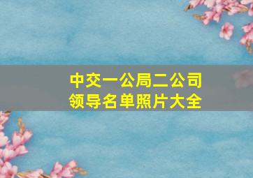 中交一公局二公司领导名单照片大全