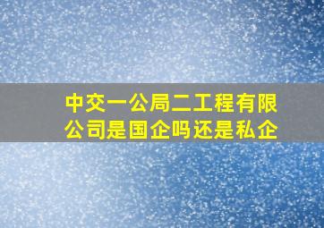 中交一公局二工程有限公司是国企吗还是私企