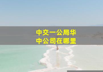 中交一公局华中公司在哪里