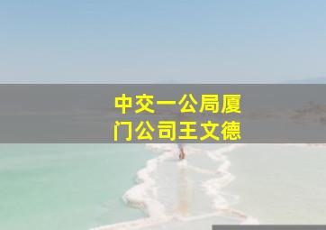 中交一公局厦门公司王文德