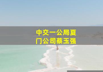 中交一公局夏门公司蔡玉强