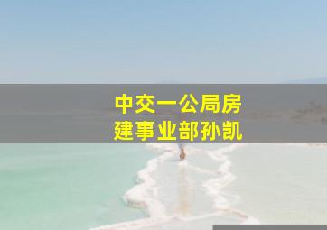 中交一公局房建事业部孙凯