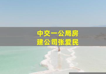 中交一公局房建公司张爱民