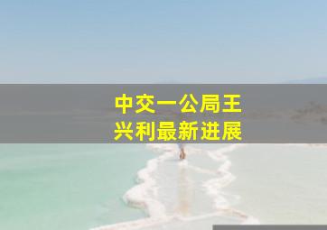 中交一公局王兴利最新进展