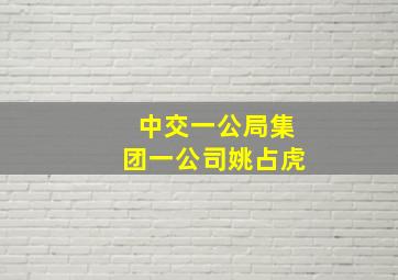 中交一公局集团一公司姚占虎