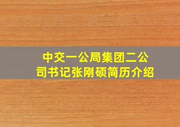 中交一公局集团二公司书记张刚硕简历介绍