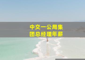 中交一公局集团总经理年薪