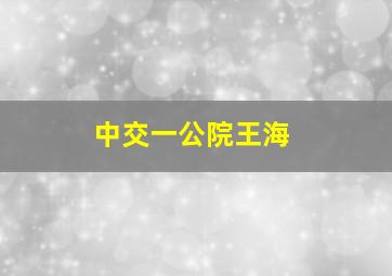 中交一公院王海