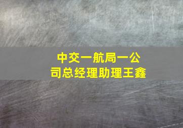 中交一航局一公司总经理助理王鑫