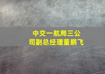 中交一航局三公司副总经理董鹏飞