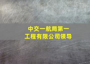 中交一航局第一工程有限公司领导