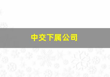 中交下属公司