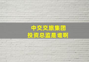 中交交旅集团投资总监是谁啊