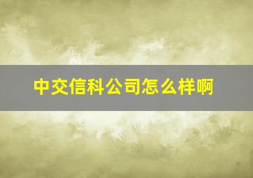 中交信科公司怎么样啊