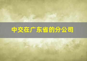 中交在广东省的分公司