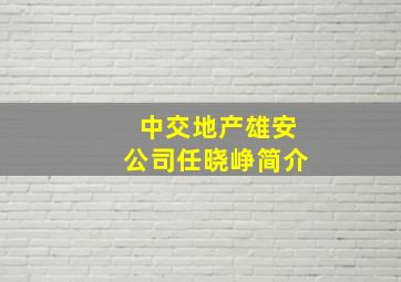 中交地产雄安公司任晓峥简介