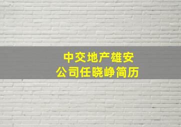 中交地产雄安公司任晓峥简历