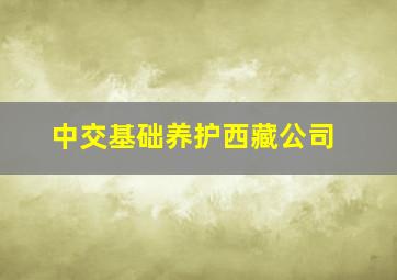 中交基础养护西藏公司