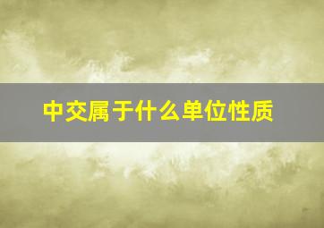 中交属于什么单位性质