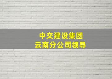 中交建设集团云南分公司领导