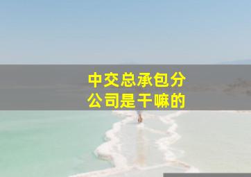 中交总承包分公司是干嘛的