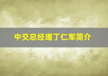 中交总经理丁仁军简介