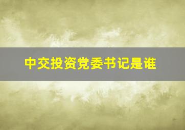 中交投资党委书记是谁