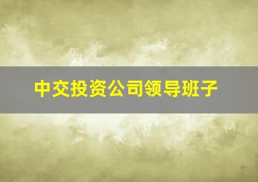 中交投资公司领导班子