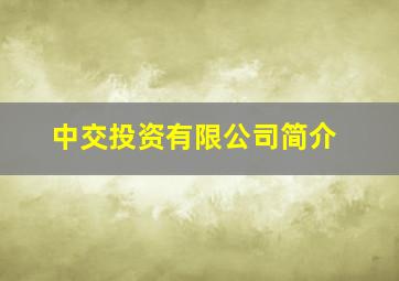 中交投资有限公司简介