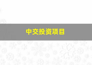 中交投资项目