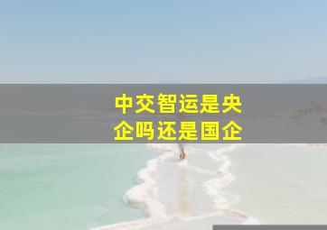 中交智运是央企吗还是国企