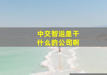 中交智运是干什么的公司啊