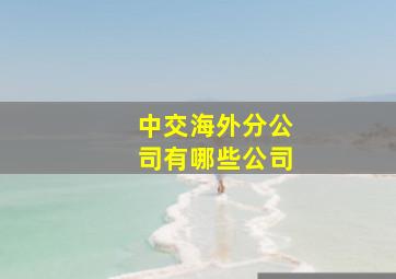 中交海外分公司有哪些公司