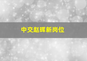 中交赵晖新岗位