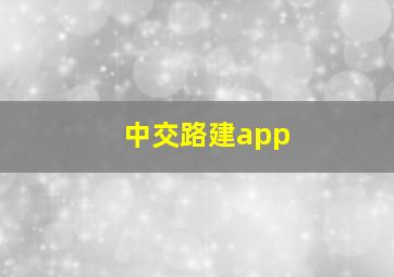 中交路建app