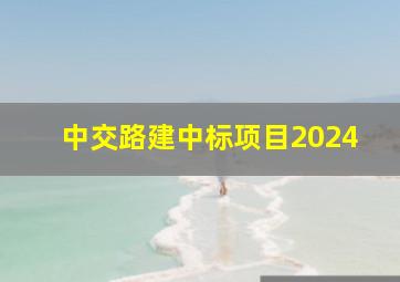 中交路建中标项目2024