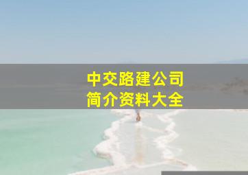 中交路建公司简介资料大全