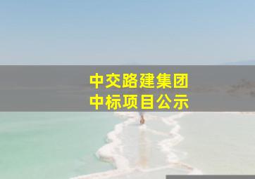 中交路建集团中标项目公示