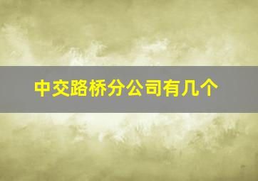 中交路桥分公司有几个