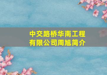 中交路桥华南工程有限公司周旭简介