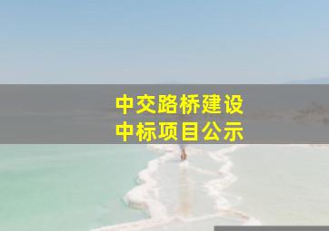 中交路桥建设中标项目公示