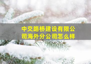 中交路桥建设有限公司海外分公司怎么样