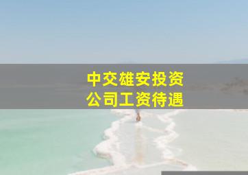 中交雄安投资公司工资待遇