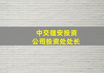 中交雄安投资公司投资处处长