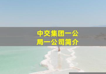 中交集团一公局一公司简介