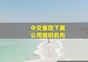 中交集团下属公司组织机构