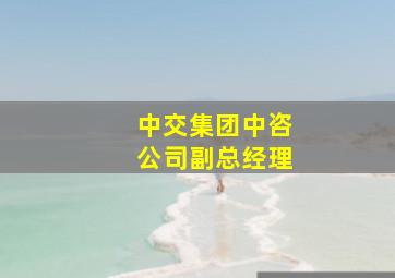 中交集团中咨公司副总经理