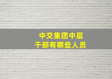 中交集团中层干部有哪些人员