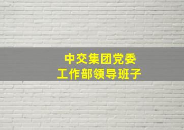 中交集团党委工作部领导班子