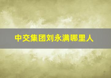 中交集团刘永满哪里人